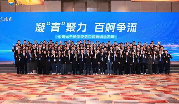 凝“青”聚力，百舸争流 | mk体育干部学校2024年第二届培训学习班圆满结束